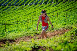 BIB: 
                            <button type="button" onclick="openModal(19161963)" class="btn btn-primary btn-sm float-right btn-popup" data-toggle="modal" data-target=".modal-high-quality">
                        <i class="fas fa-shopping-cart"></i> Add to Cart
                    </button>
                                            <button type="button" onclick="isThisMe(19161963, true)" class="btn btn-success btn-sm float-right btn-popup btn-isme hidden" data-toggle="tooltip" data-placement="bottom" title="นี่คือรูปของคุณใช่ไหม คลิกที่นี่เพื่อเอาเข้าอัลบั้ม">
                        <i class="fas fa-plus"></i> Add to album
                    </button>
                    <button type="button" onclick="isThisMe(19161963, false)" class="btn btn-warning btn-sm float-right btn-popup btn-isnotme hidden">
                        <i class="fas fa-ban"></i> Remove from album
                    </button>